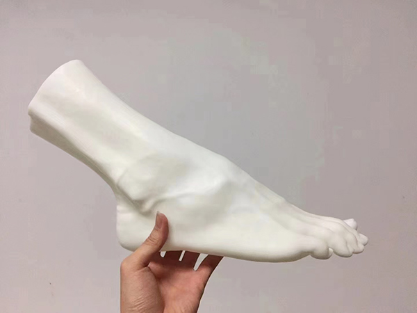 5028人体脚掌白色...