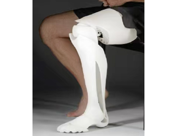 2807#人体假肢模...